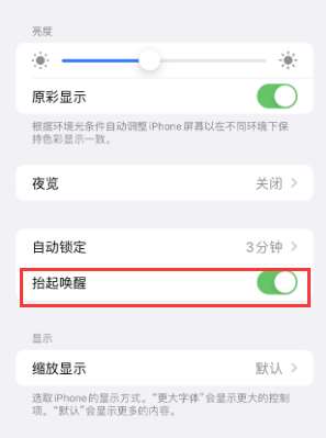 板桥镇苹果授权维修站分享iPhone轻点无法唤醒怎么办