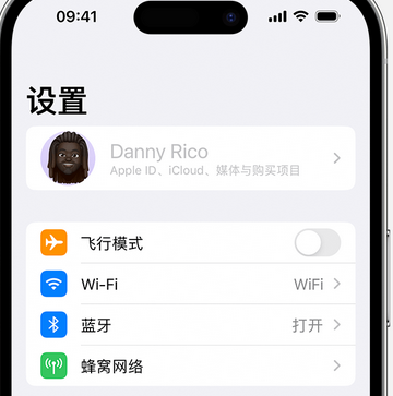 板桥镇appleID维修服务iPhone设置中Apple ID显示为灰色无法使用 