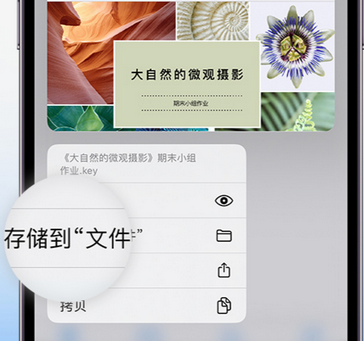 板桥镇apple维修中心分享iPhone文件应用中存储和找到下载文件