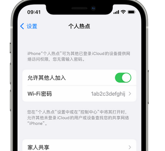 板桥镇apple服务站点分享iPhone上个人热点丢失了怎么办