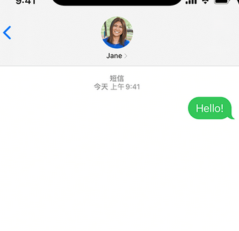 板桥镇apple维修iPhone上无法正常发送iMessage信息