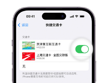 板桥镇apple维修点分享iPhone上更换Apple Pay快捷交通卡手绘卡面 