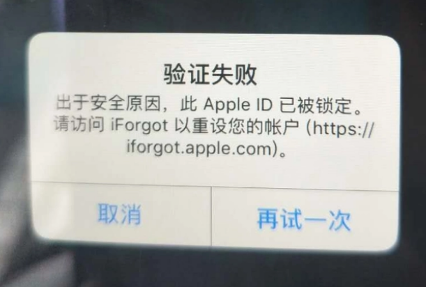 板桥镇iPhone维修分享iPhone上正常登录或使用AppleID怎么办 