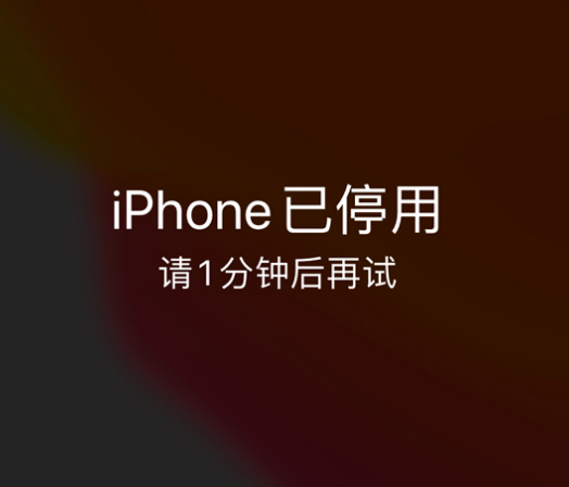 板桥镇苹果手机维修分享:iPhone 显示“不可用”或“已停用”怎么办？还能保留数据吗？ 