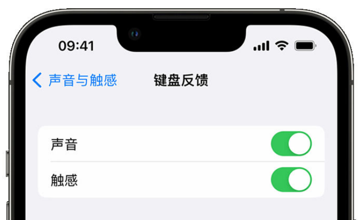 板桥镇苹果手机维修分享iPhone 14触感键盘使用方法 