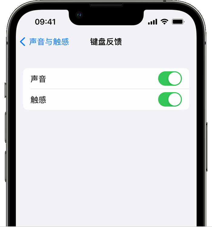 板桥镇苹果14维修店分享如何在 iPhone 14 机型中使用触感键盘 