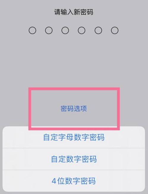 板桥镇苹果14维修分享iPhone 14plus设置密码的方法 