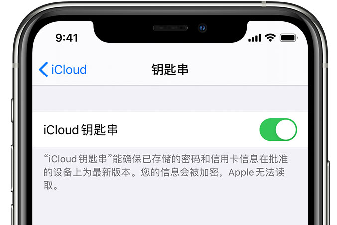 板桥镇苹果手机维修分享在 iPhone 上开启 iCloud 钥匙串之后会储存哪些信息 